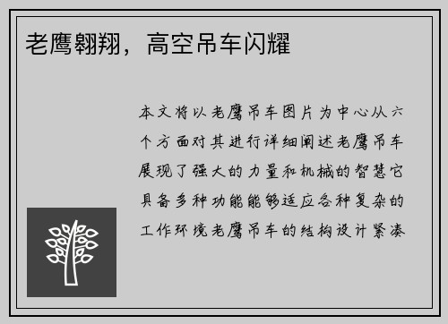 老鹰翱翔，高空吊车闪耀